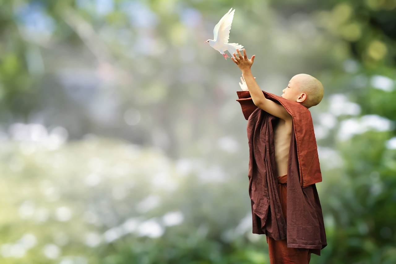 Finding the Intersections of Buddhism & Stoicism